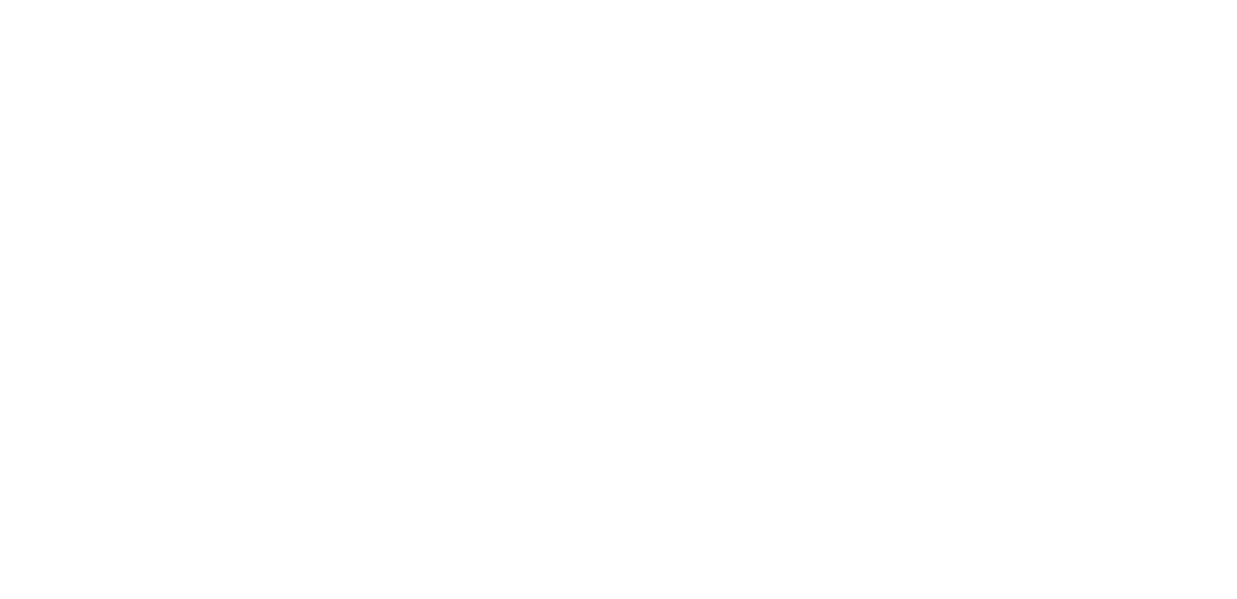 SkootEco Logo