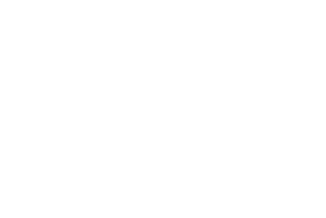 Bolt – 1