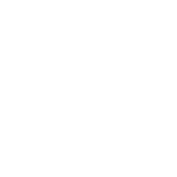 Autovit logo