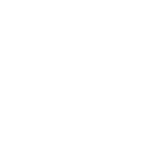 Scopi V3