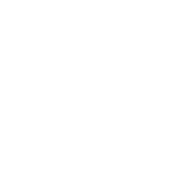 Avex logo