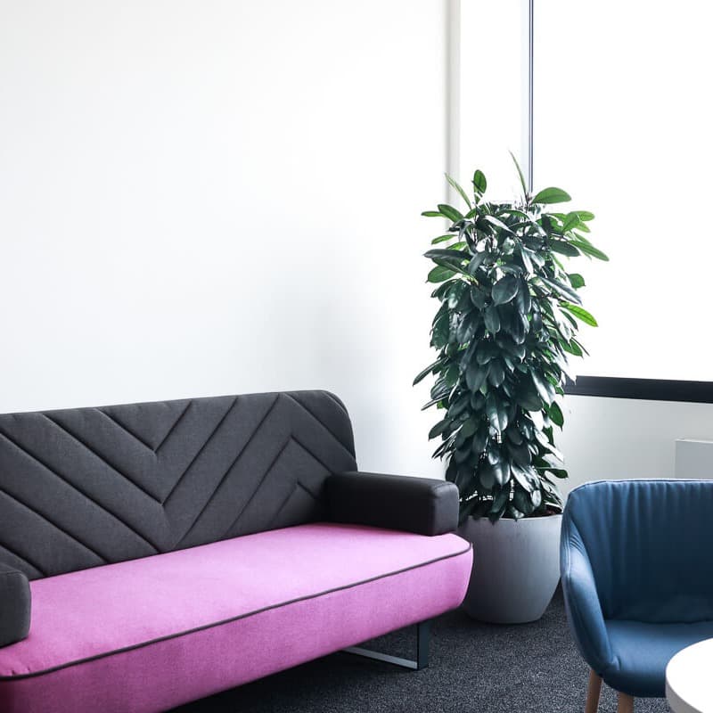 Professional expertise