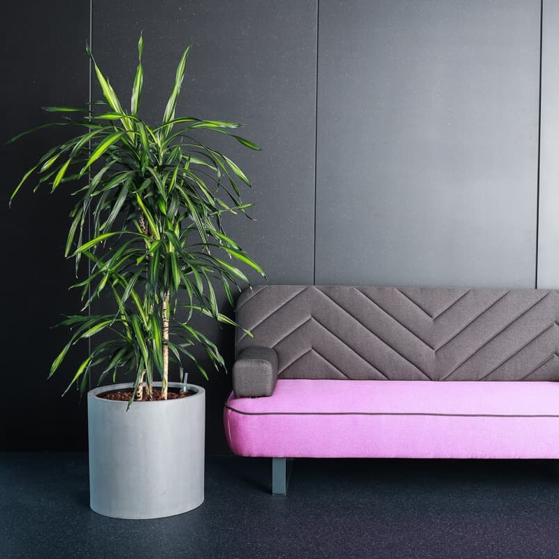 Professional expertise