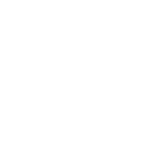 REST Countries