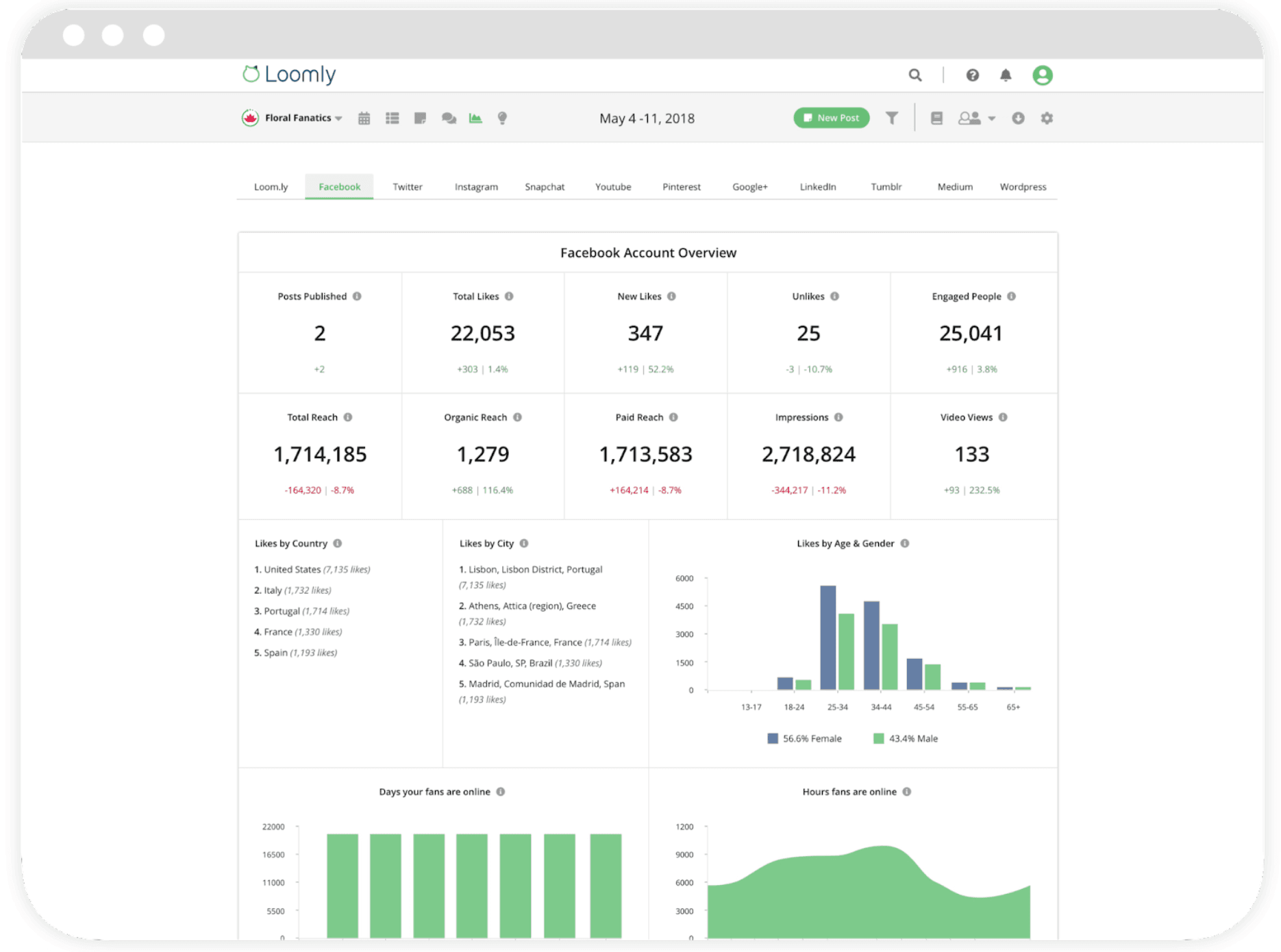 loomly social media mangement tool